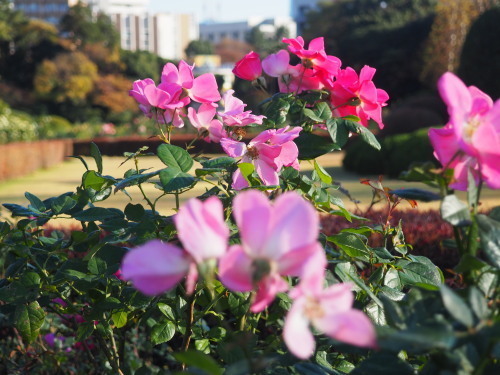2021.12.01.07ss-blog.jpg
