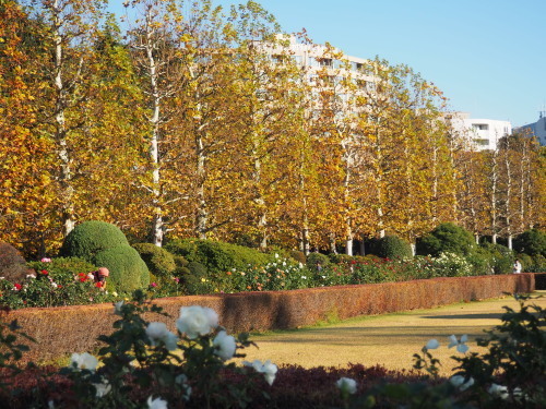 2021.12.01.09ss-blog.jpg