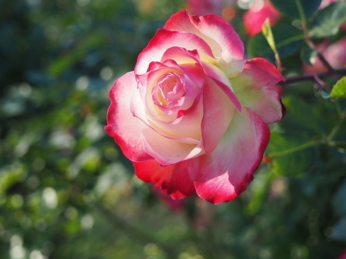 2021.12.01.10ss-blog.jpg