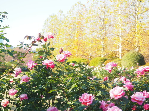 2021.12.01.11ss-blog.jpg