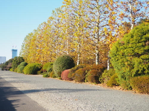 2021.12.01.12ss-blog.jpg