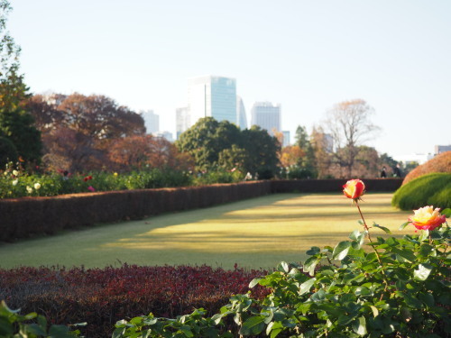 2021.12.01.14ss-blog.jpg