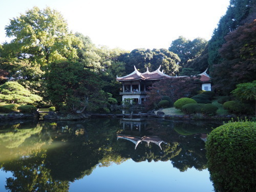 2021.12.07.01ss-blog.jpg