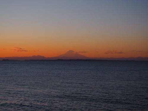 2022.02.07.03ss-blog.jpg