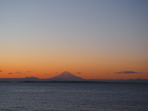 2022.02.07.05ss-blog.jpg