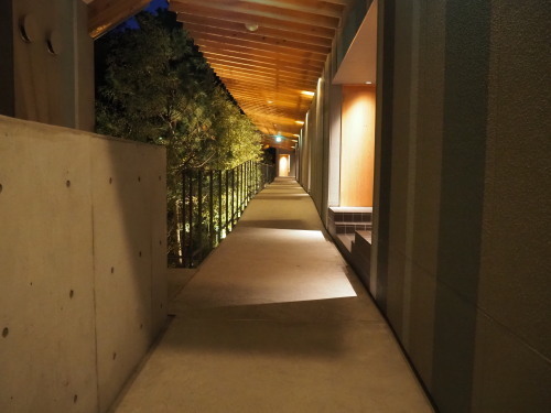 2022.02.07.07ss-blog.jpg