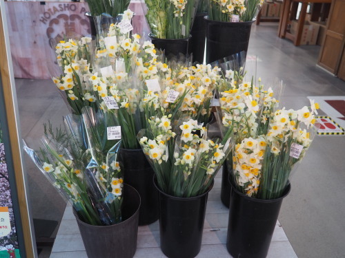 2022.02.21.05ss-blog.jpg