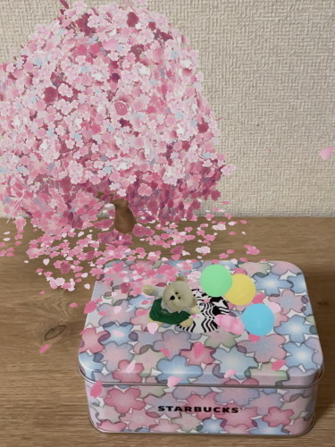 2022.03.03.02ss-blog.jpg