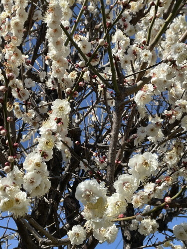 2022.03.12.04ss-blog.jpg