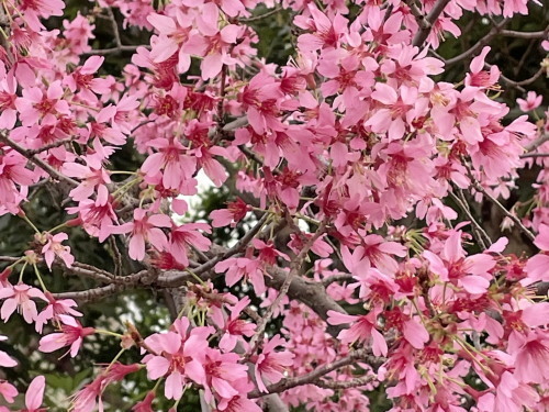 2022.03.18.01ss-blog.jpg