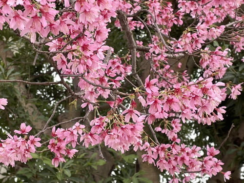 2022.03.18.02s-blog.jpg