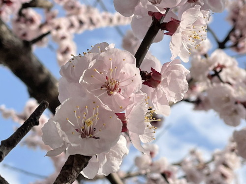 2022.03.18.03ss-blog.jpg