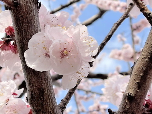 2022.03.18.04ss-blog.jpg