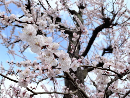 2022.03.18.05ss-blog.jpg