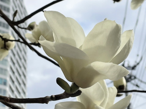2022.03.18.07ss-blog.jpg