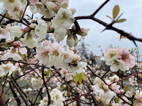 2022.03.23.01ss-blog.jpg