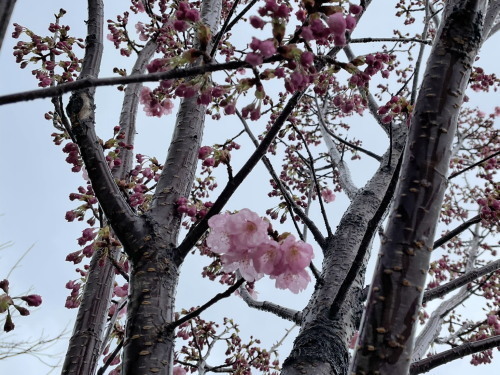 2022.03.23.02ss-blog.jpg
