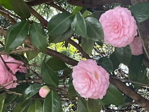 2022.03.23.03ss-blog.jpg