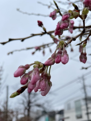 2022.03.23.05ss-blog.jpg
