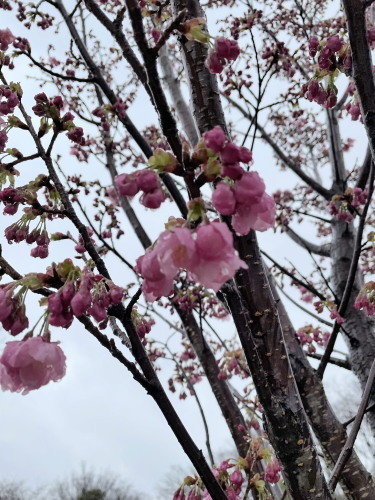 2022.03.23.06ss-blog.jpg