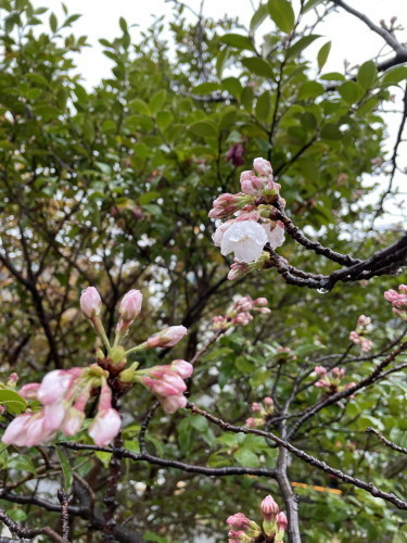 2022.03.23.07ss-blog.jpg