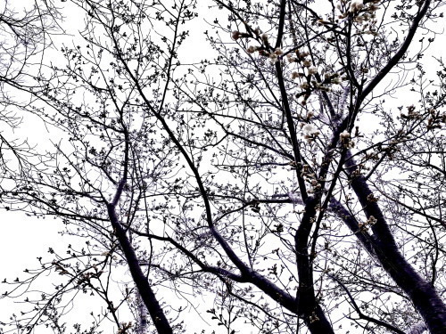2022.03.23.08ss-blog.jpg