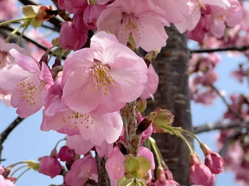 2022.03.30.02ss-blog.jpg