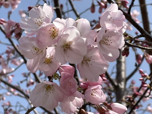 2022.03.30.03ss-blog.jpg