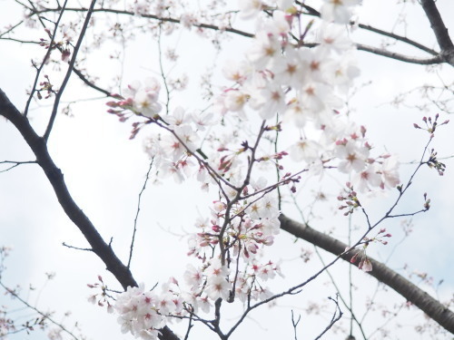 2022.04.08.01ss-blog.jpg