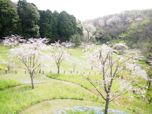 2022.04.08.04ss-blog.jpg