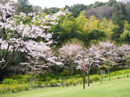 2022.04.08.05ss-blog.jpg