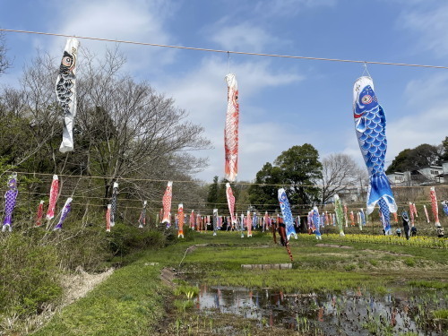 2022.04.08.08ss-blog.jpg