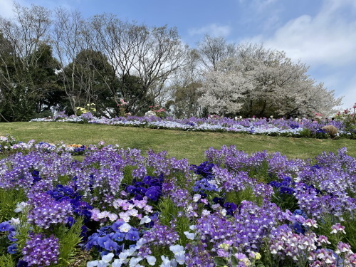 2022.04.12.01ss-blog.jpg