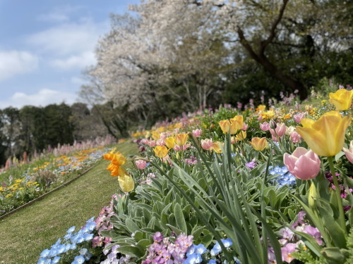2022.04.12.02ss-blog.jpg