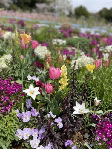 2022.04.12.03ss-blog.jpg