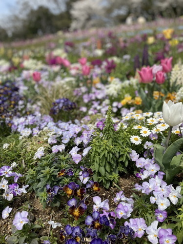 2022.04.12.04ss-blog.jpg