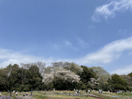 2022.04.12.08ss-blog.jpg