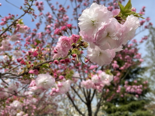 2022.04.30.02ss-blog.jpg