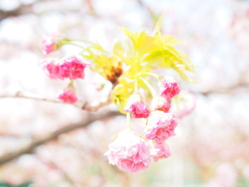 2022.04.30.03ss-blog.jpg