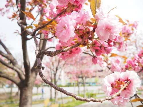 2022.04.30.04ss-blog.jpg