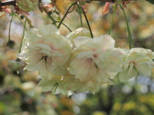2022.04.30.05ss-blog.jpg