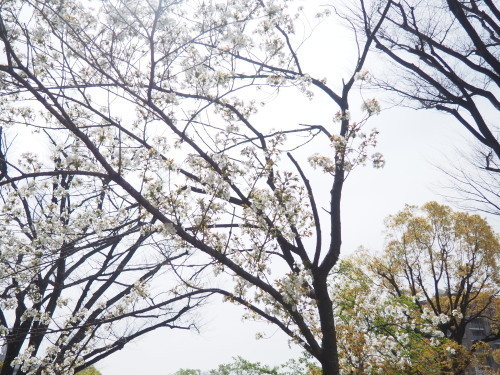 2022.04.30.06ss-blog.jpg