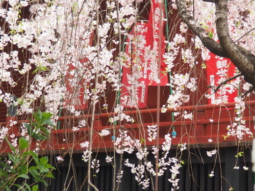 2022.04.30.07ss-blog.jpg