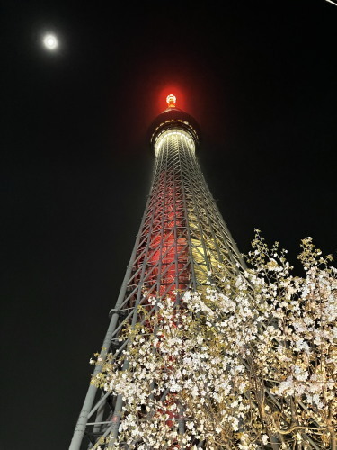 2022.04.30.08ss-blog.jpg
