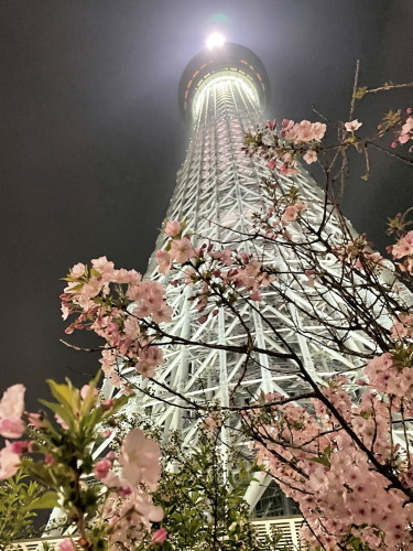 2022.04.30.09ss-blog.jpg