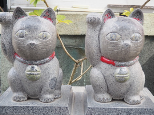 2022.05.14.01ss-blog.jpg