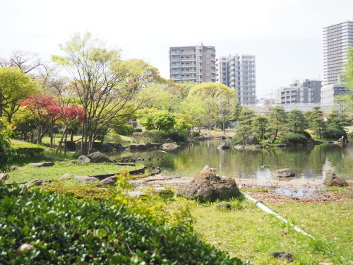 2022.05.14.06ss-blog.jpg