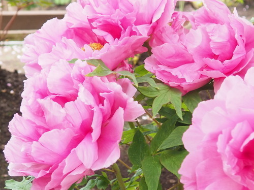2022.05.17.05ss-blog.jpg