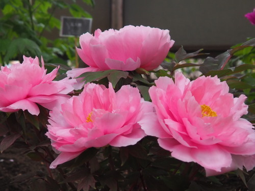 2022.05.17.06ss-blog.jpg