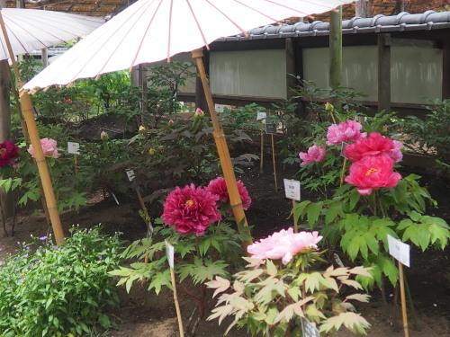 2022.05.17.07ss-blog.jpg